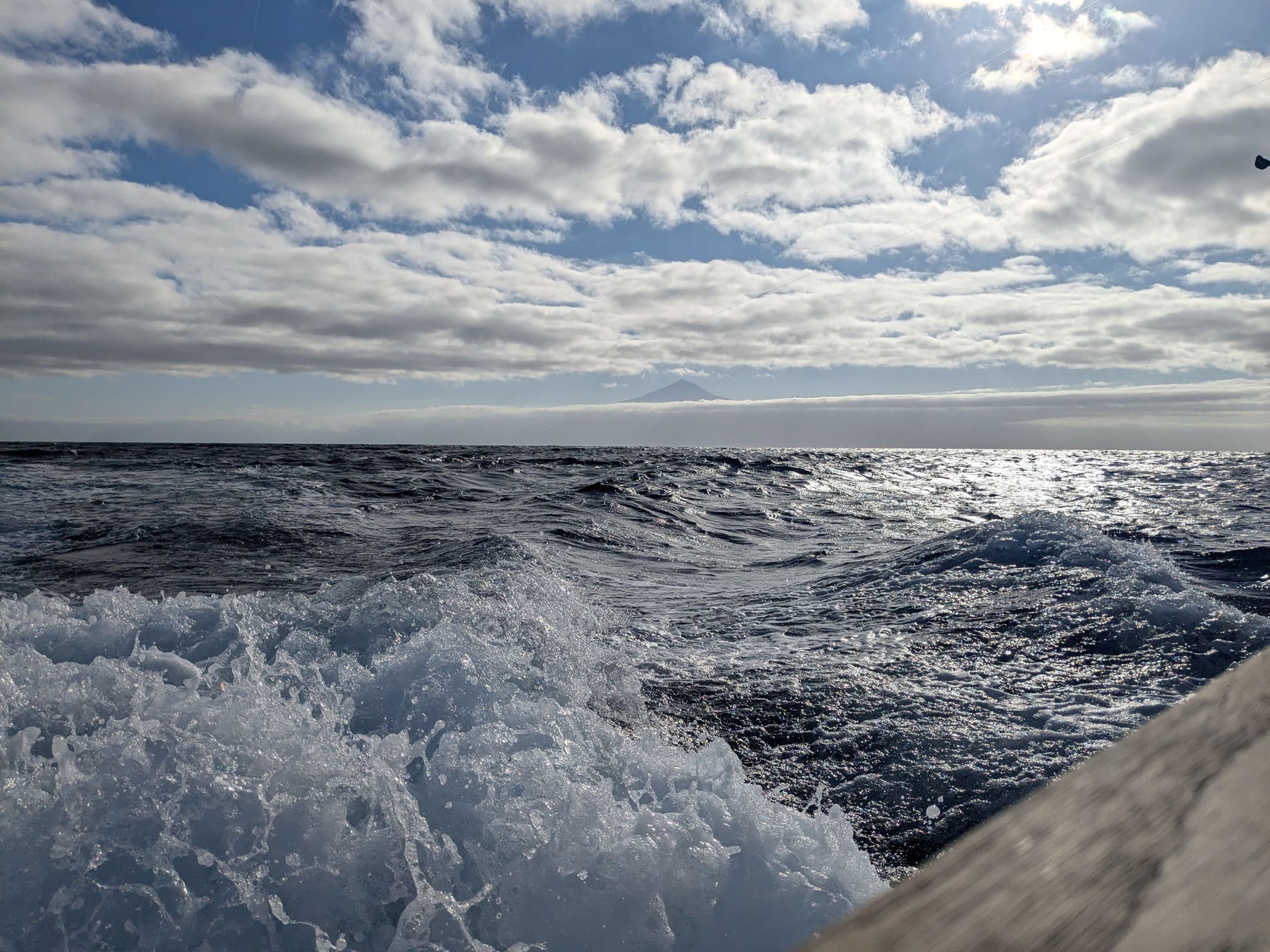 PXL 20240728 083114728