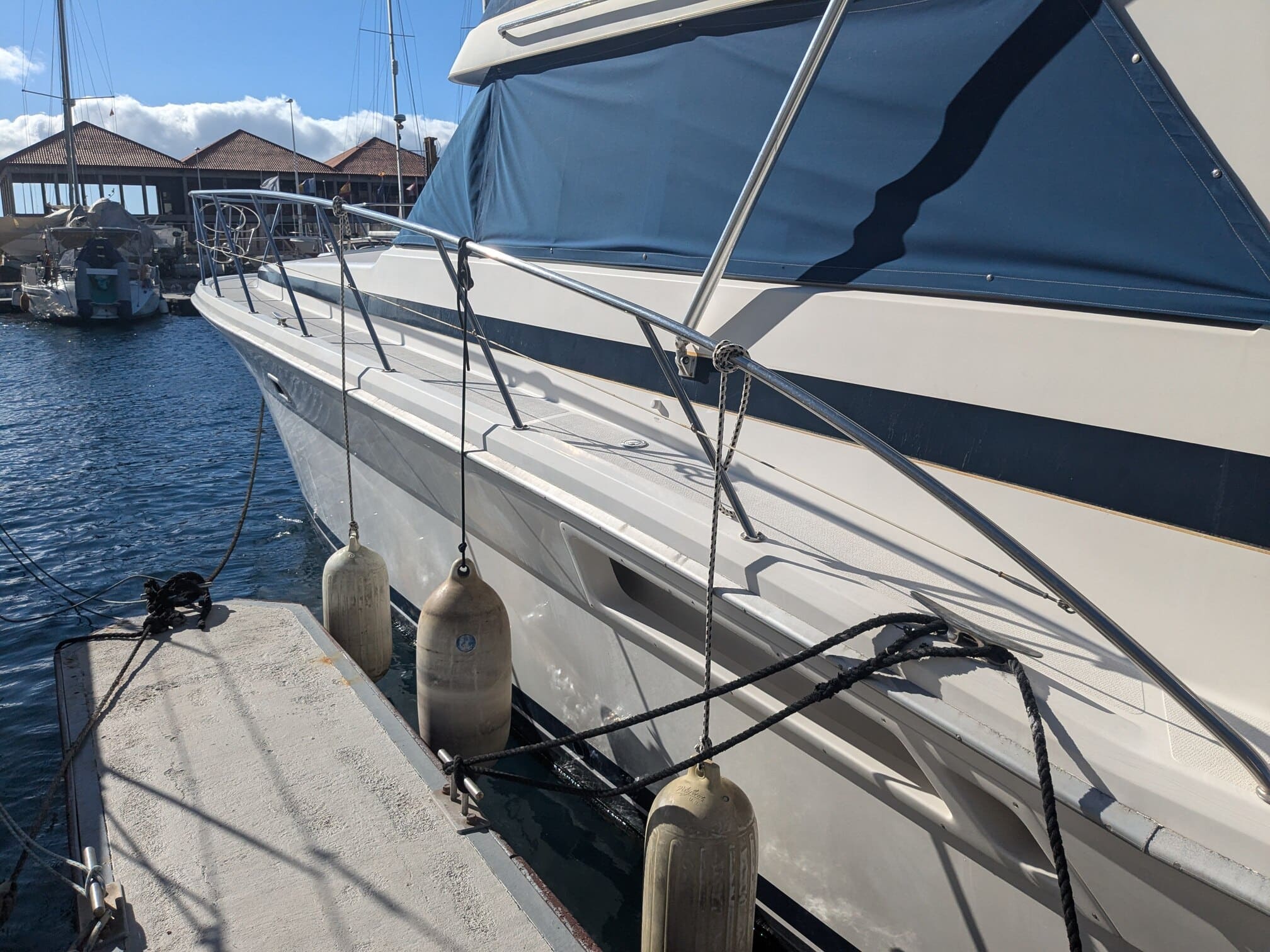 PXL 20240731 090512518